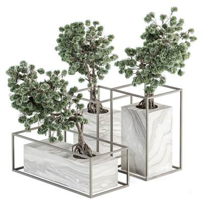 现代植物盆栽-57